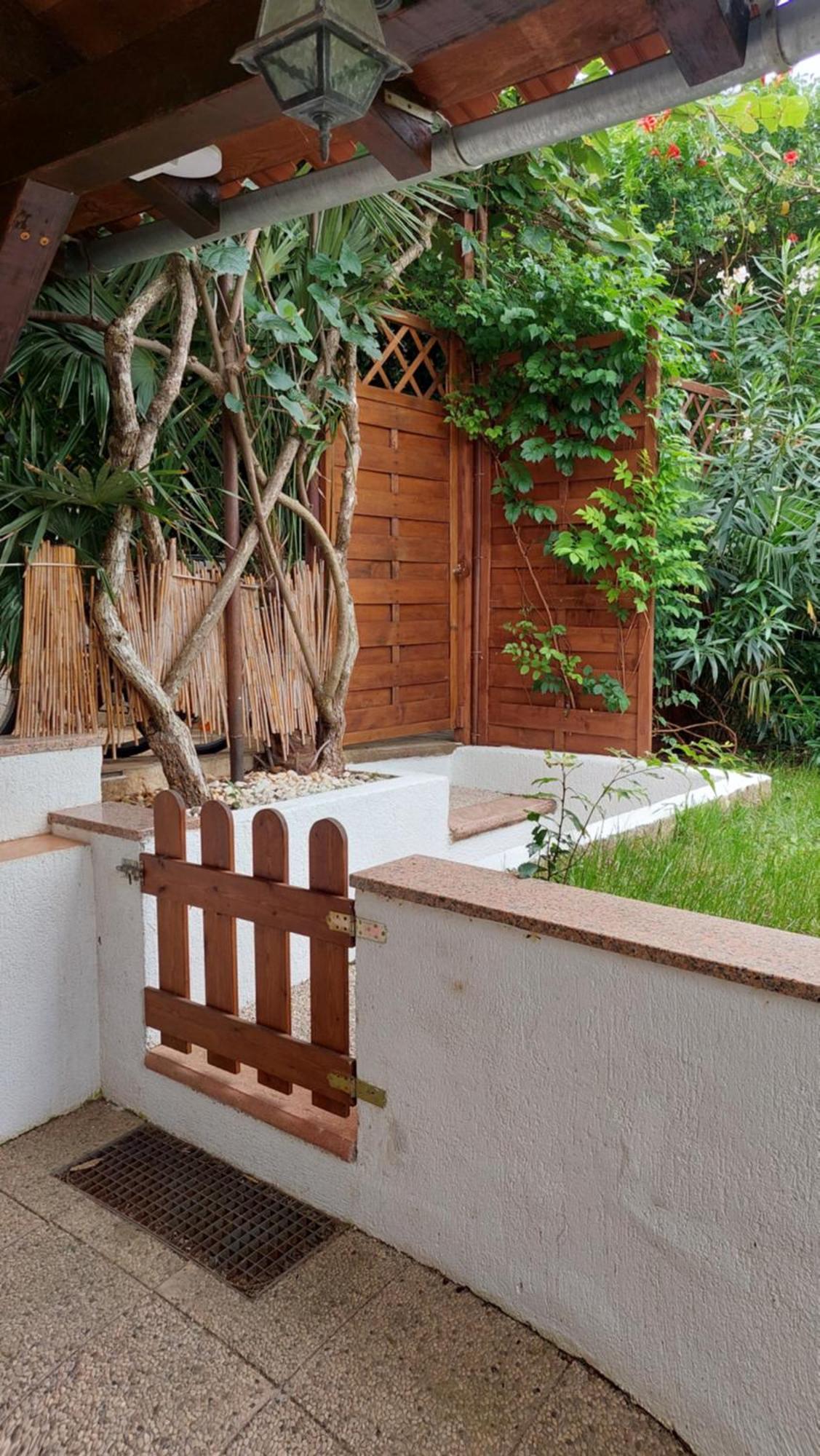 Apartment Drenovica بولا المظهر الخارجي الصورة