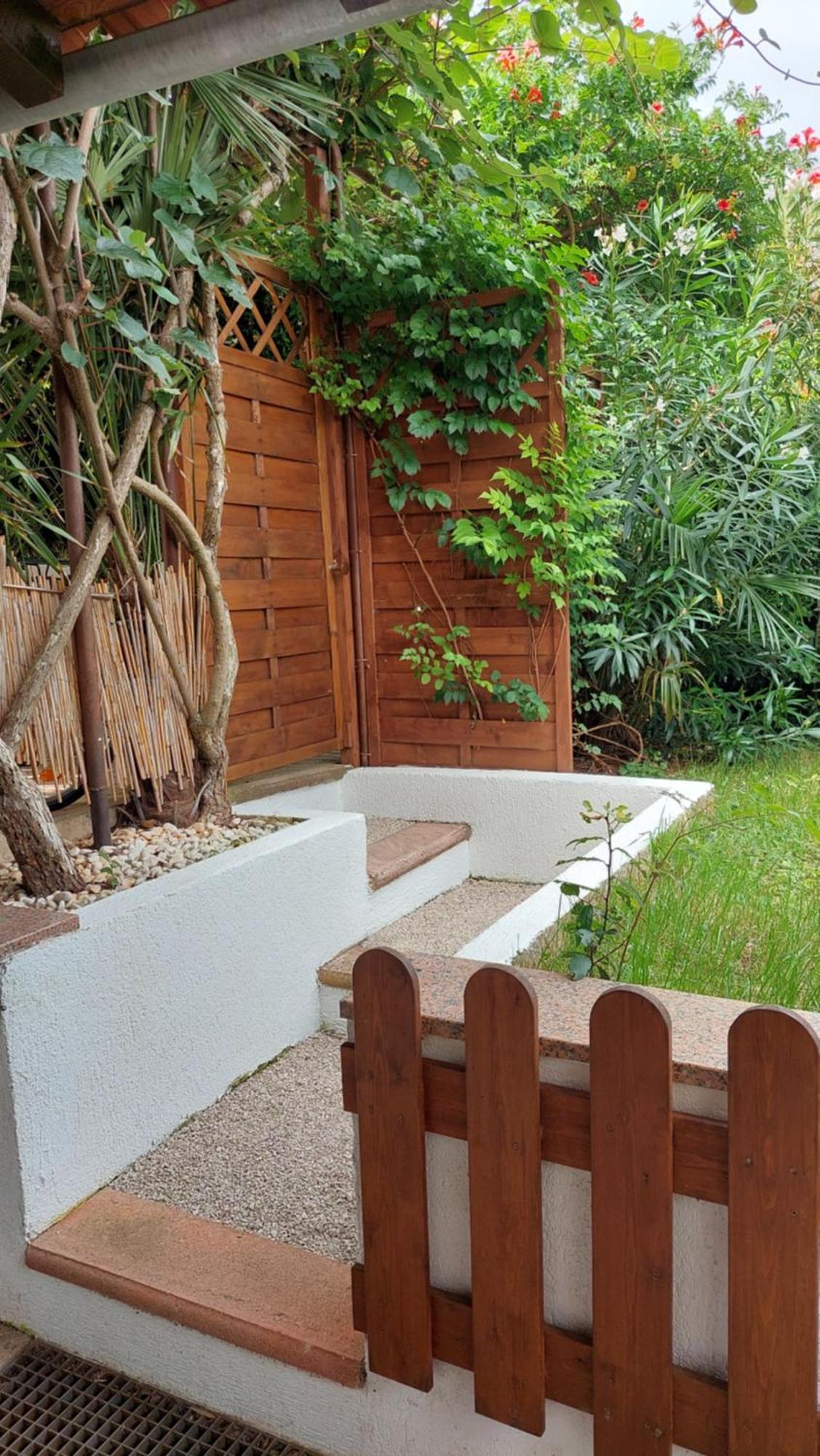 Apartment Drenovica بولا المظهر الخارجي الصورة
