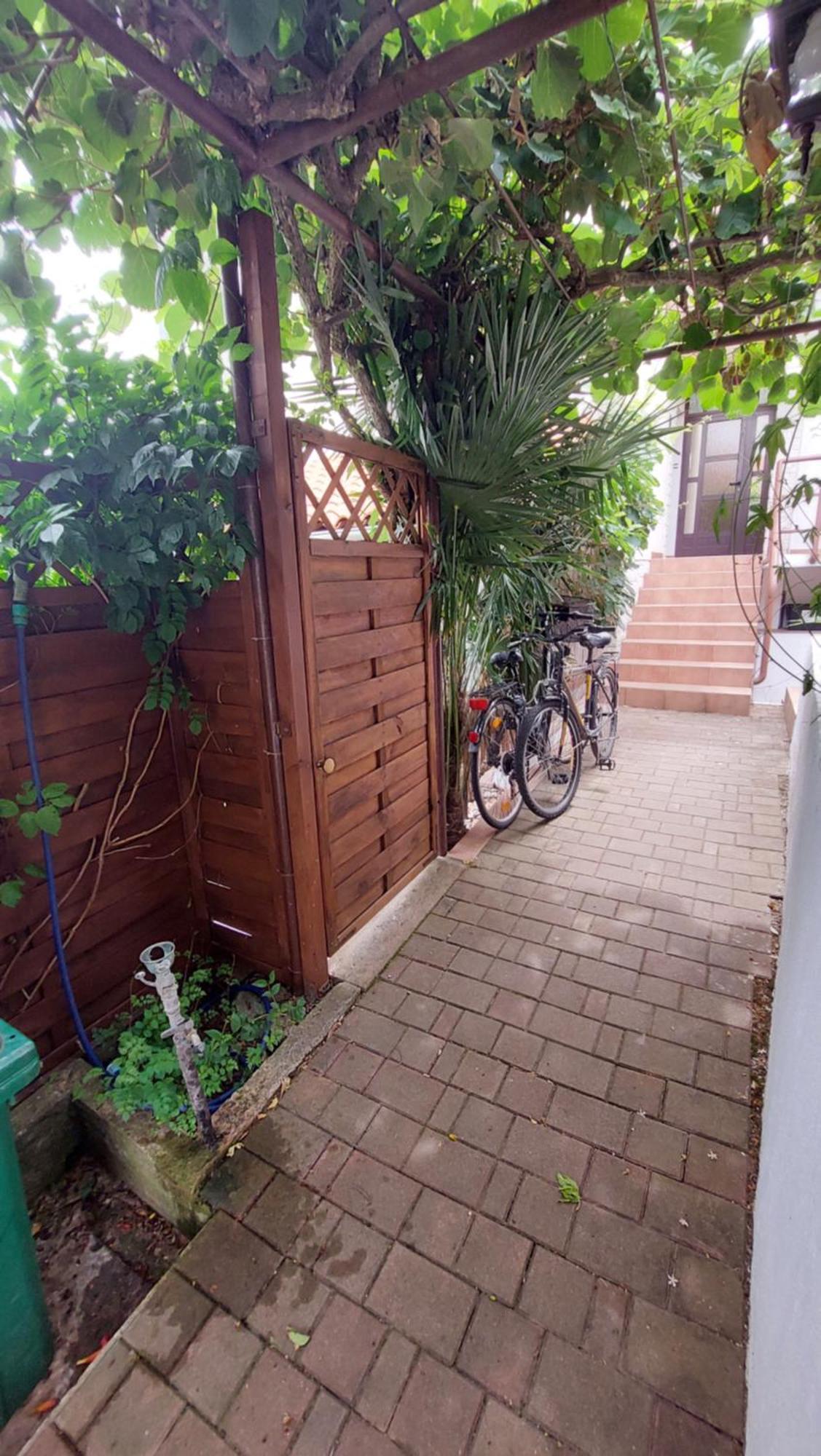 Apartment Drenovica بولا المظهر الخارجي الصورة