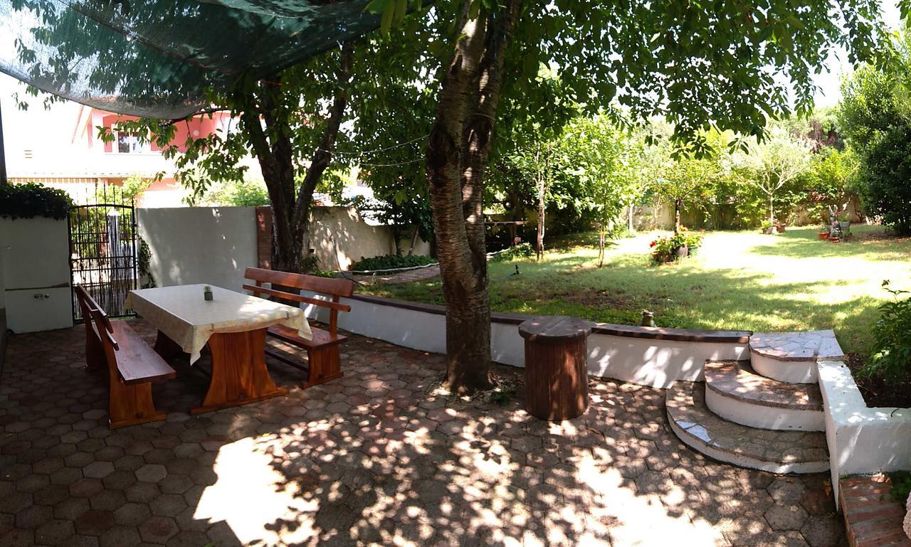 Apartment Drenovica بولا المظهر الخارجي الصورة